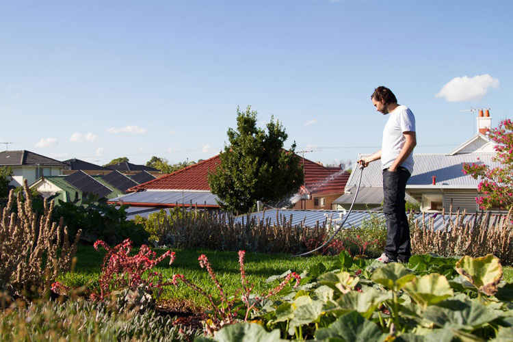 Emilio from Nest Architects waters his Florence Street House green roof in suburban Melbourne