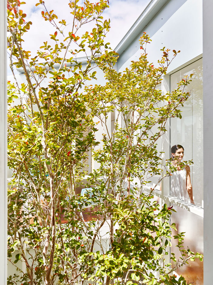 Naranga Avenue House: You Haven't Seen Breeze Blocks Like This Before