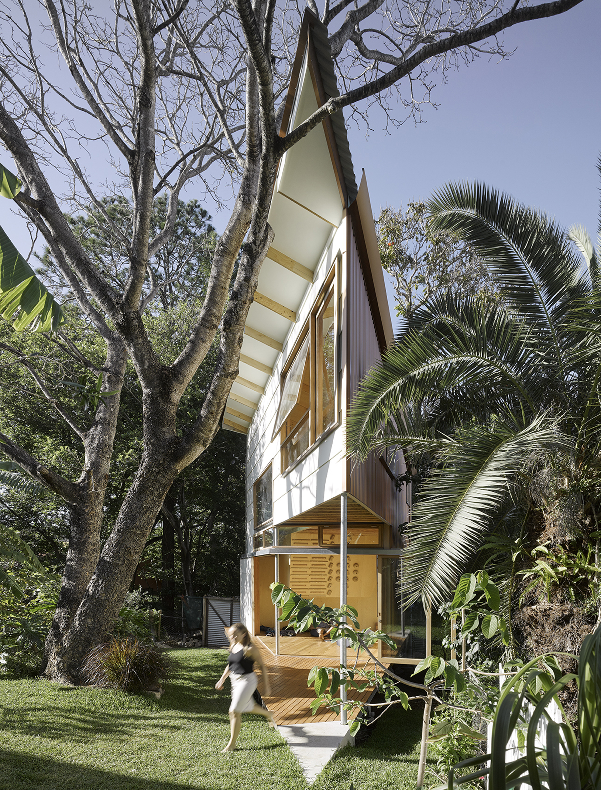 Taringa Treehouse